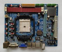 AMD A55