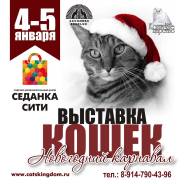 4 - 5 января Международная выставка кошек "Ассолюкс" , продажа котят.