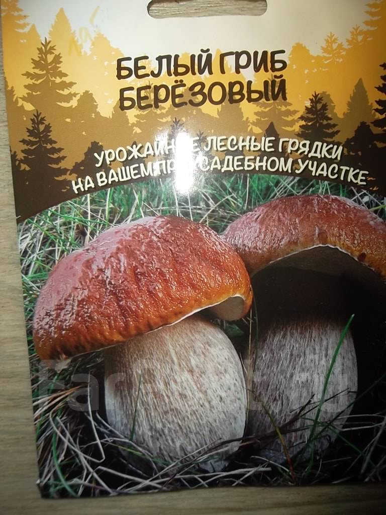 Грибы дешево Южно-Сахалинск MDA гидра Ачинск