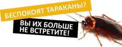 Дезинсекция от тараканов, профессиональная обработка
