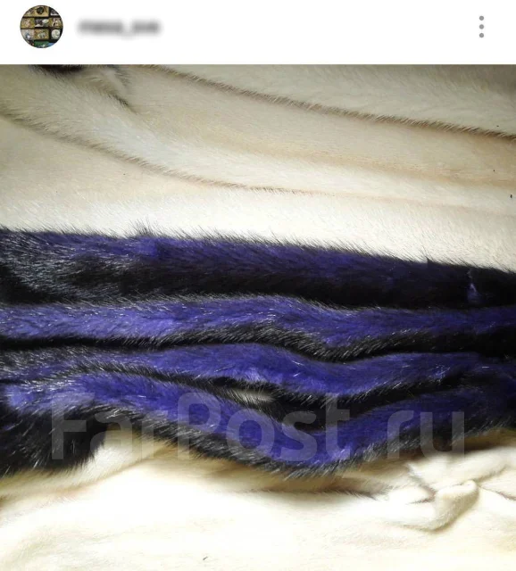 ��� ����� ����