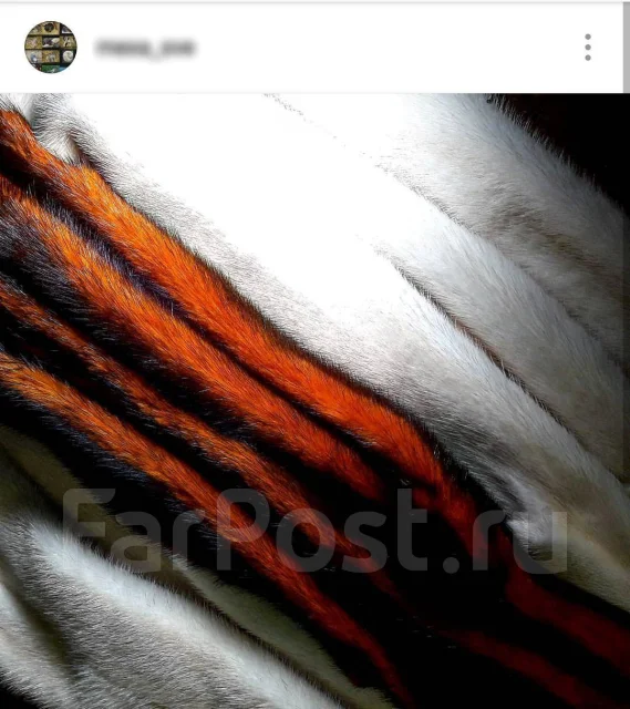 ��� ����� ����
