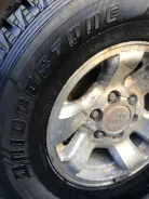 Bridgestone Blizzak DM-Z3. ������, ��� �����, �/�, ����� 30�% ����