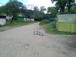 Гуси.