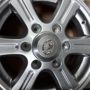 Rover. x15" ����