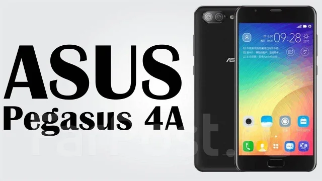 Asus. �����, 3G, 4G LTE, Dual-SIM ����