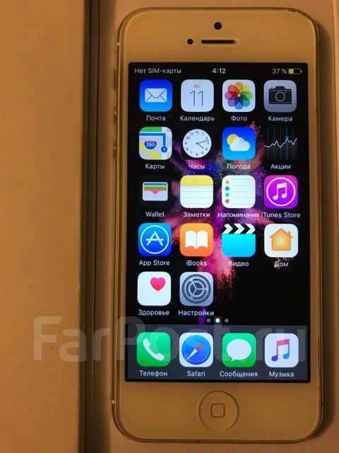 Apple iPhone 5. �����, ����������� ����