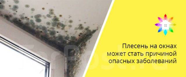 Профессиональная обработка помещений от грибка и плесени в Уссурийске