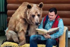 Набор из 14 монет животные красной книги! Кристаллы. Под заказ