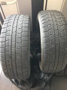 Dunlop D250. ������, ��� �����, �/�, ����� 50�%