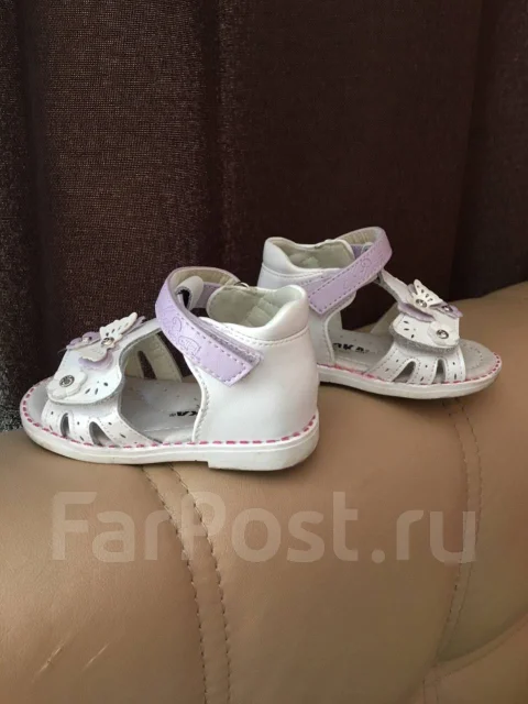 ������� �����. 16 � 17 ����