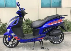 GES. 49����. ��., ��������, ��� ���, ��� ������� ����