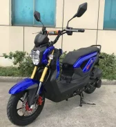 GES. 49����. ��., ��������, ��� ���, ��� ������� ����
