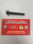 Болт насоса акпп. Volkswagen: Passat, Caddy, Eos, Jetta, Scirocco, Tiguan, Sharan, Passat CC, Touran, Golf, Beetle, Polo Seat: Ibiza, Altea, Leon, Alh...