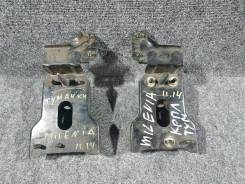 Кронштейн, корпус противотуманной фары. Mazda Millenia, TA, TA3A, TA3P, TA5A, TA5P, TAFP