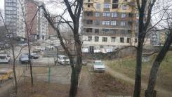1-комнатная, улица Некрасова 82а. Центр, частное лицо, 30 кв. м. Вид из окна днём