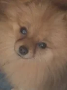 ����. ����