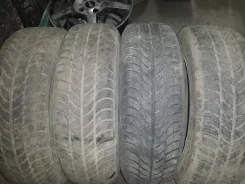 Sava Eskimo S3 MS. ������, ��� �����, 2015 ���, �/�, ����� 30�%