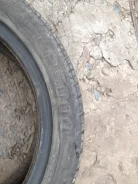 Pirelli P5000 Drago. ������, �/�, ����� 60�% ����