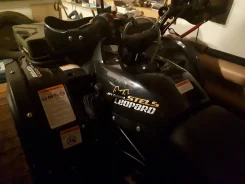 Stels ATV 600YL Leopard. ��������, ���� ���\���, � �������� ����