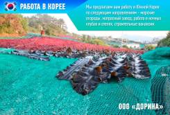 Работа в Корее! Морские огороды! Билеты на паром! Все даты!