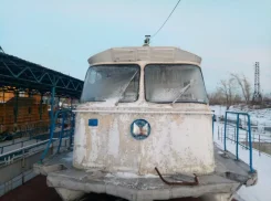 ����. 1981 ���, ����� 23,9��., ��������� ������������, 868��.�., ������ ����