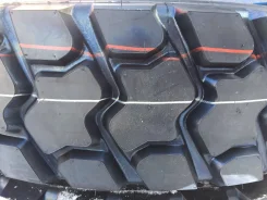 Annaite 309. �����������, 2018 ���, ����� ����