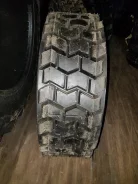 Bobcat. �����������, 2018 ���, ����� ����