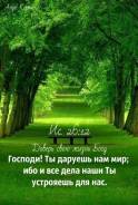 Организация примет в дар у населения и Организаций