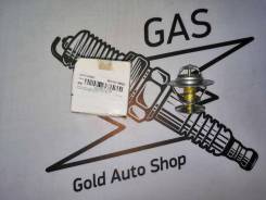 Термостат. Volkswagen: Passat, Caddy, Bora, Jetta, Sharan, Vento, Lupo, Beetle, Polo, Fox, Corrado, Transporter, Touran, Golf Seat: Arosa, Ibiza, Inca...