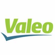 Клапанная форсунка |В наличии на складе! Valeo 348005