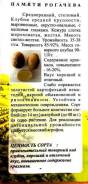 Картофель. Под заказ