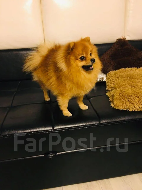����. ����