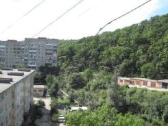 1-комнатная, улица Карьерная 22. Снеговая, агентство, 33 кв. м.