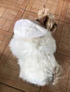 ����. ����