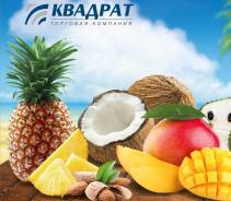 Торговый представитель. ООО "Квадрат"