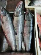 Продам красную рыбу