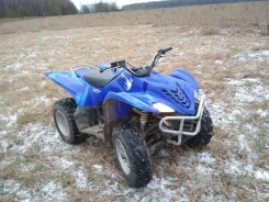 Yamaha Wolverine 450. ��������, ���� ���\���, � �������� ����