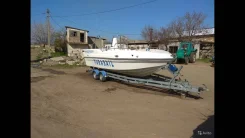 Mercury. 2006 ���, ����� 8,00��., ��������� ������������, 250,00��.�., ������ ����