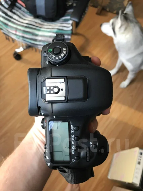 Canon EOS 7D Mark II Body. 20 � ����� �� ����