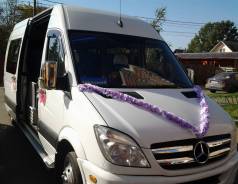 Mercedes-Benz Sprinter 515. Туристический автобус, 19 мест