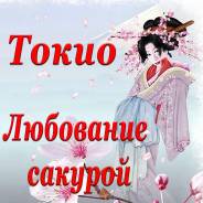 Япония. Токио. Экскурсионный тур. Любование сакурой