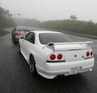 Молдинг на кузов. Nissan Skyline, BCNR33, ECR33, ENR33, ER33, HR33