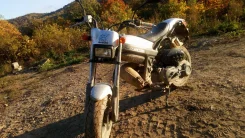 Suzuki Street Magic II. 50����. ��., ��������, ��� ���, � �������� ����