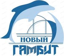 Развитие детей в центре "Новый Гамбит" Учим игре в Шахматы