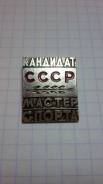 Кандидат в мастера спорта СССР.