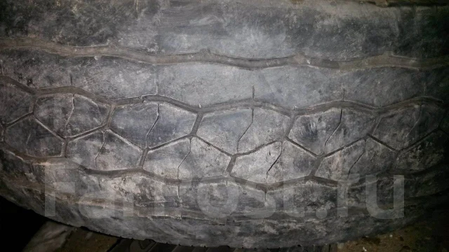Bridgestone Blizzak W800. ������, 2016 ���, �/�, ����� 20 % ����