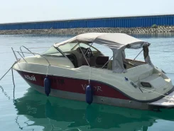 Vigor 620 L Walk Around. 2013 ���, ����� 6,2��., ��������� ������������, 150��.�., ������ ����