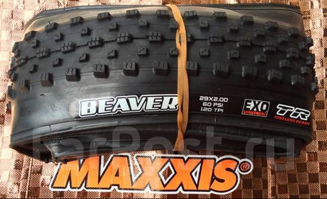 beaver maxxis