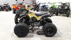 Motoland Fox 125. ��������, ��� ���\���, ��� ������� ����